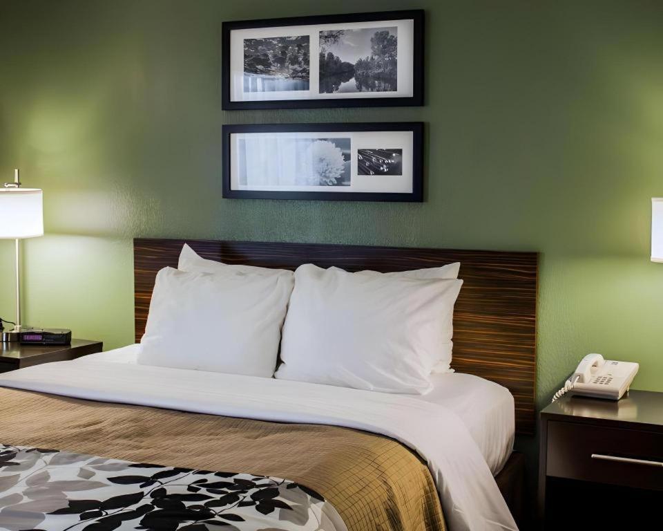Sleep Inn Geistown Екстериор снимка