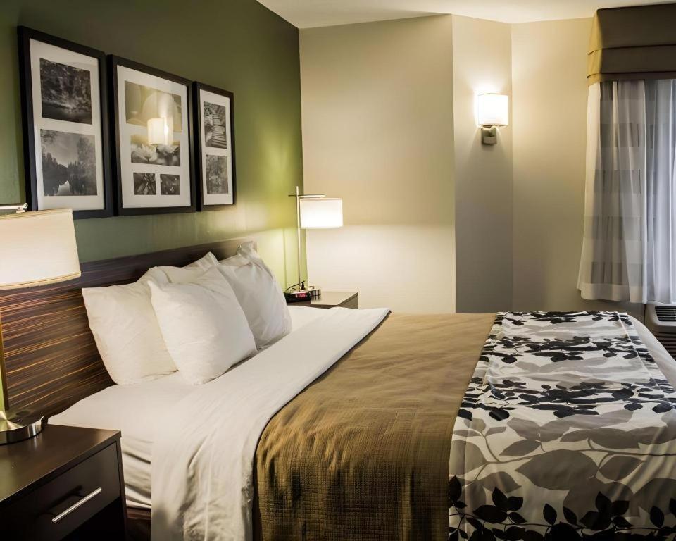 Sleep Inn Geistown Екстериор снимка