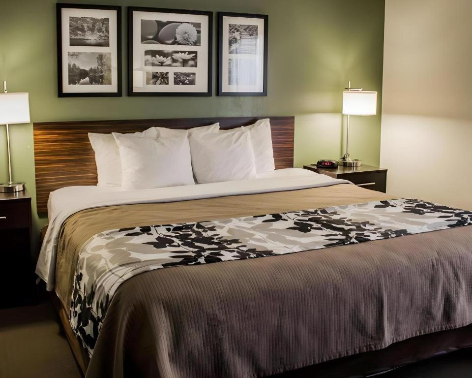 Sleep Inn Geistown Екстериор снимка
