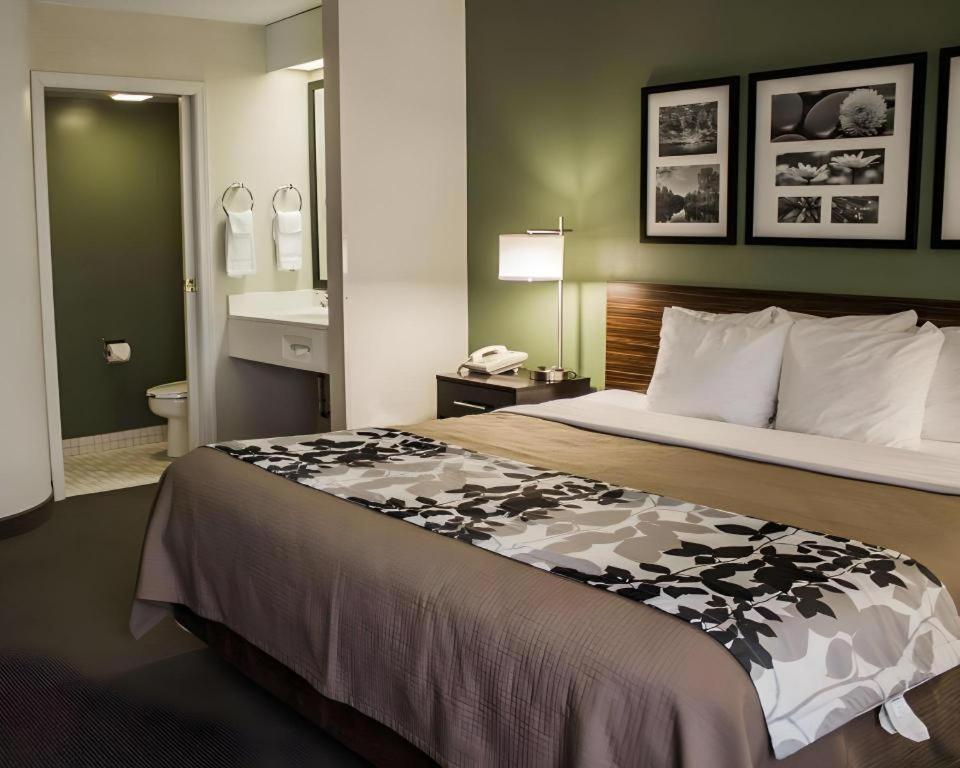Sleep Inn Geistown Екстериор снимка